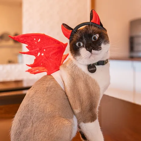 Demoninho - Fantasia para Gato