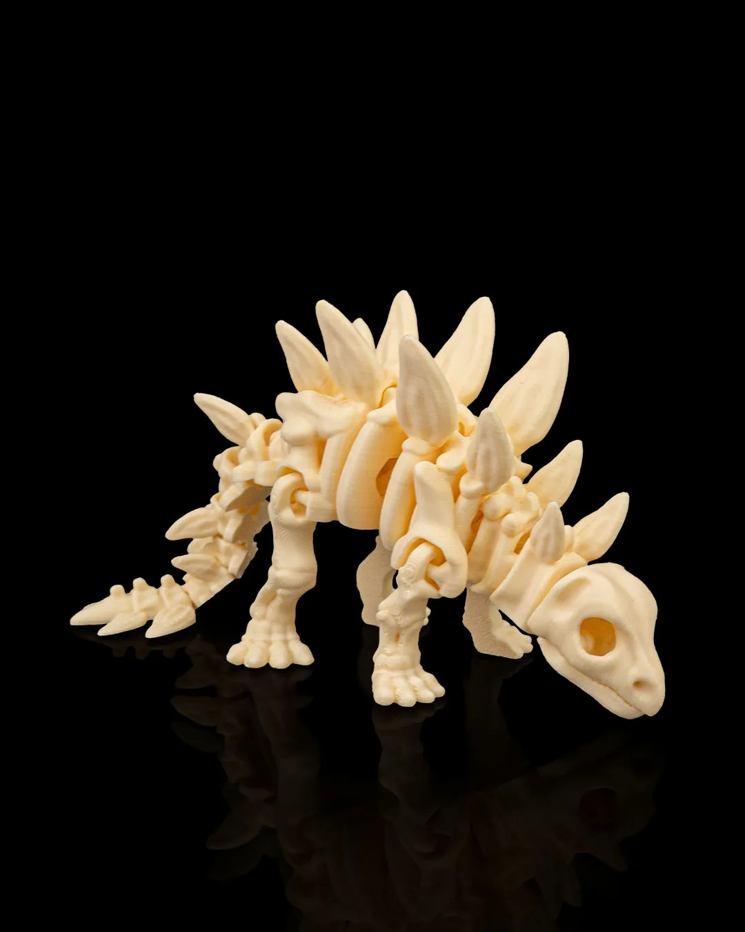 Esqueleto Stegosaurus