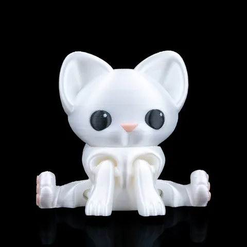 Gato Curioso