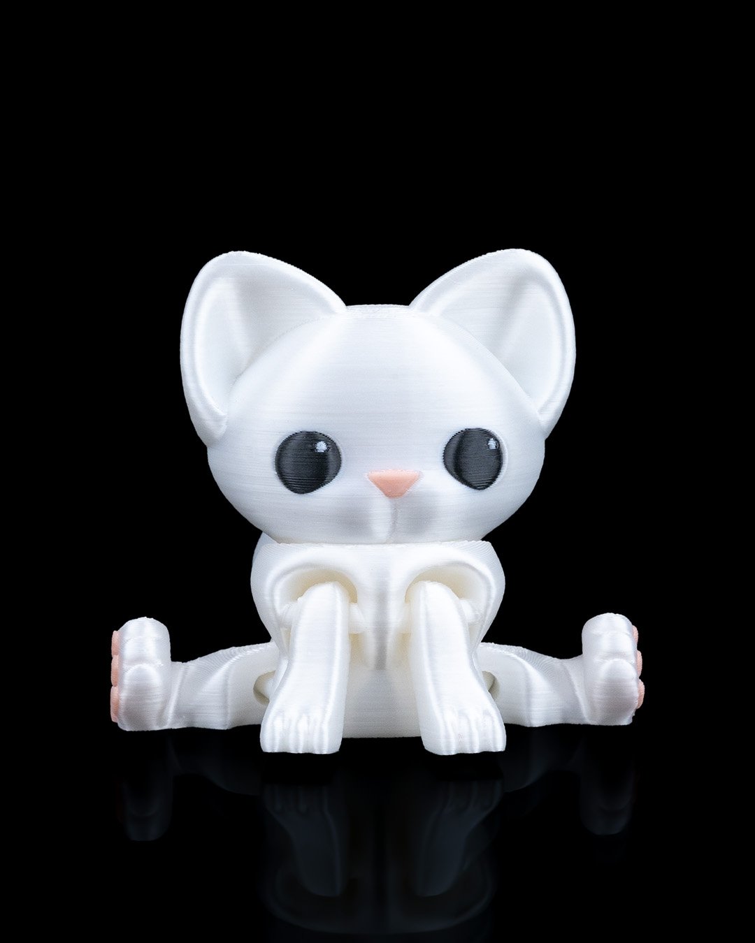 Gato Curioso — foto 1
