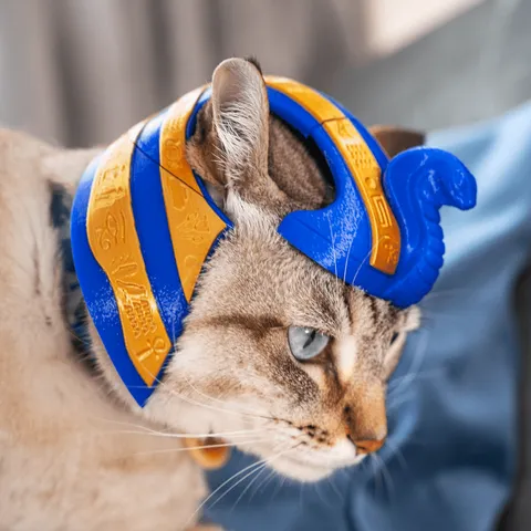 Sou Faraó - Fantasia para Gato