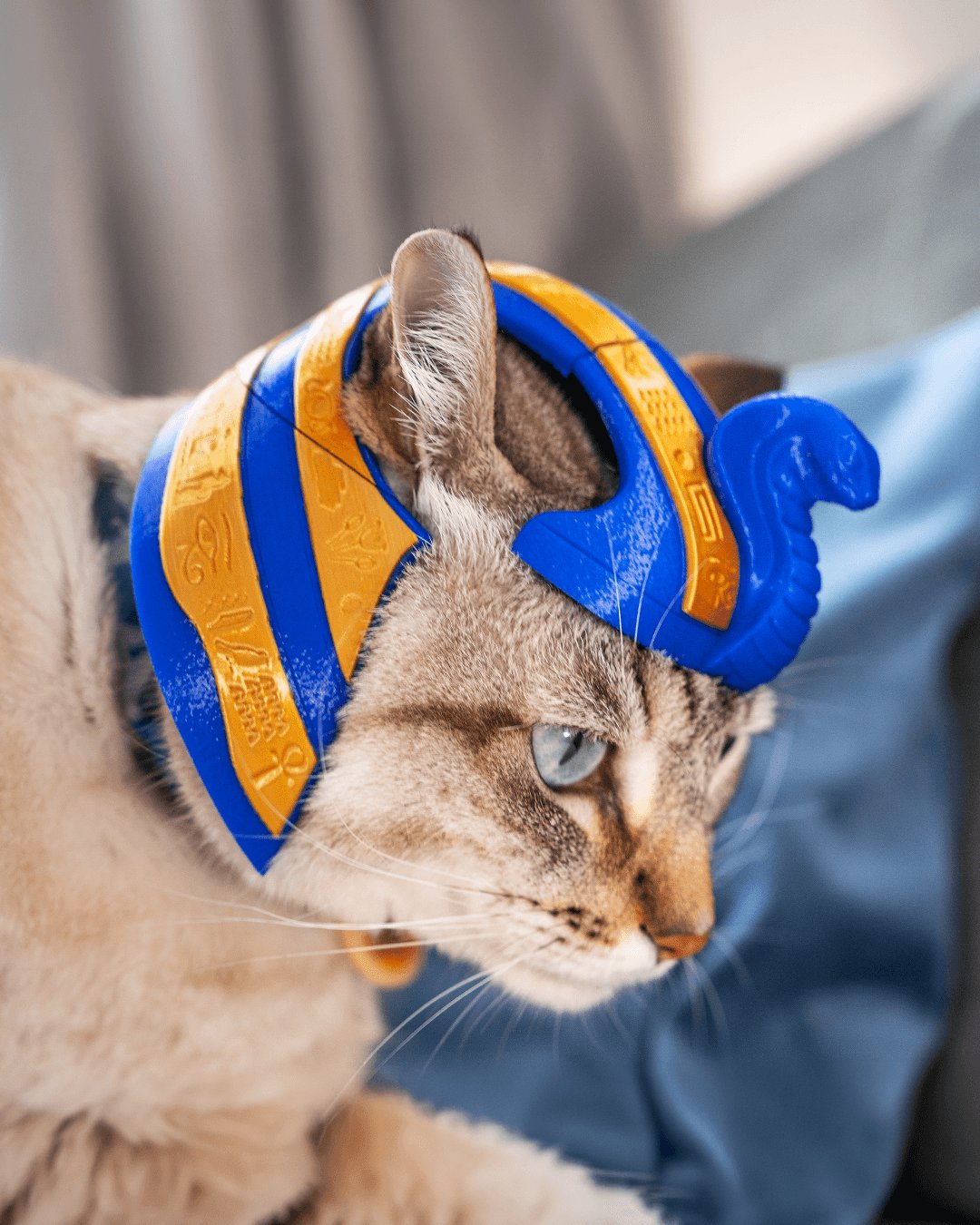 Sou Faraó - Fantasia para Gato — foto 1