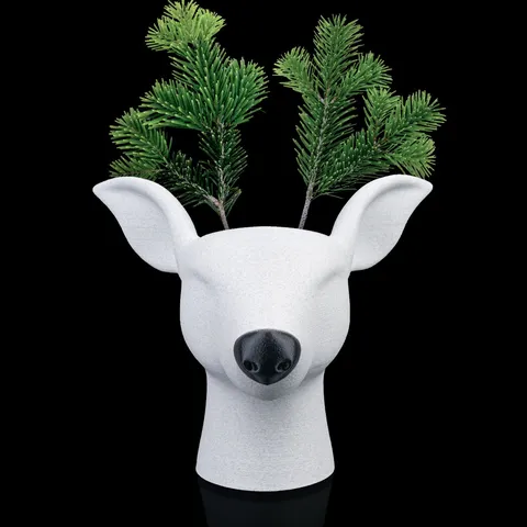 Vaso Rootolph